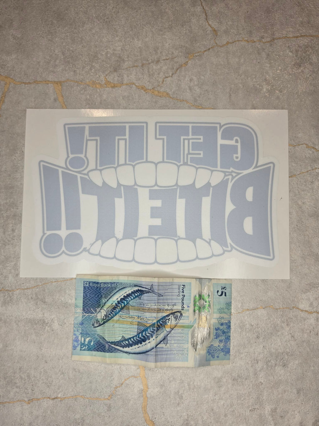 OFFICIAL GO Forth! Window Sticker Bundle | 2 PACK + FREE SHIPPING! 📦