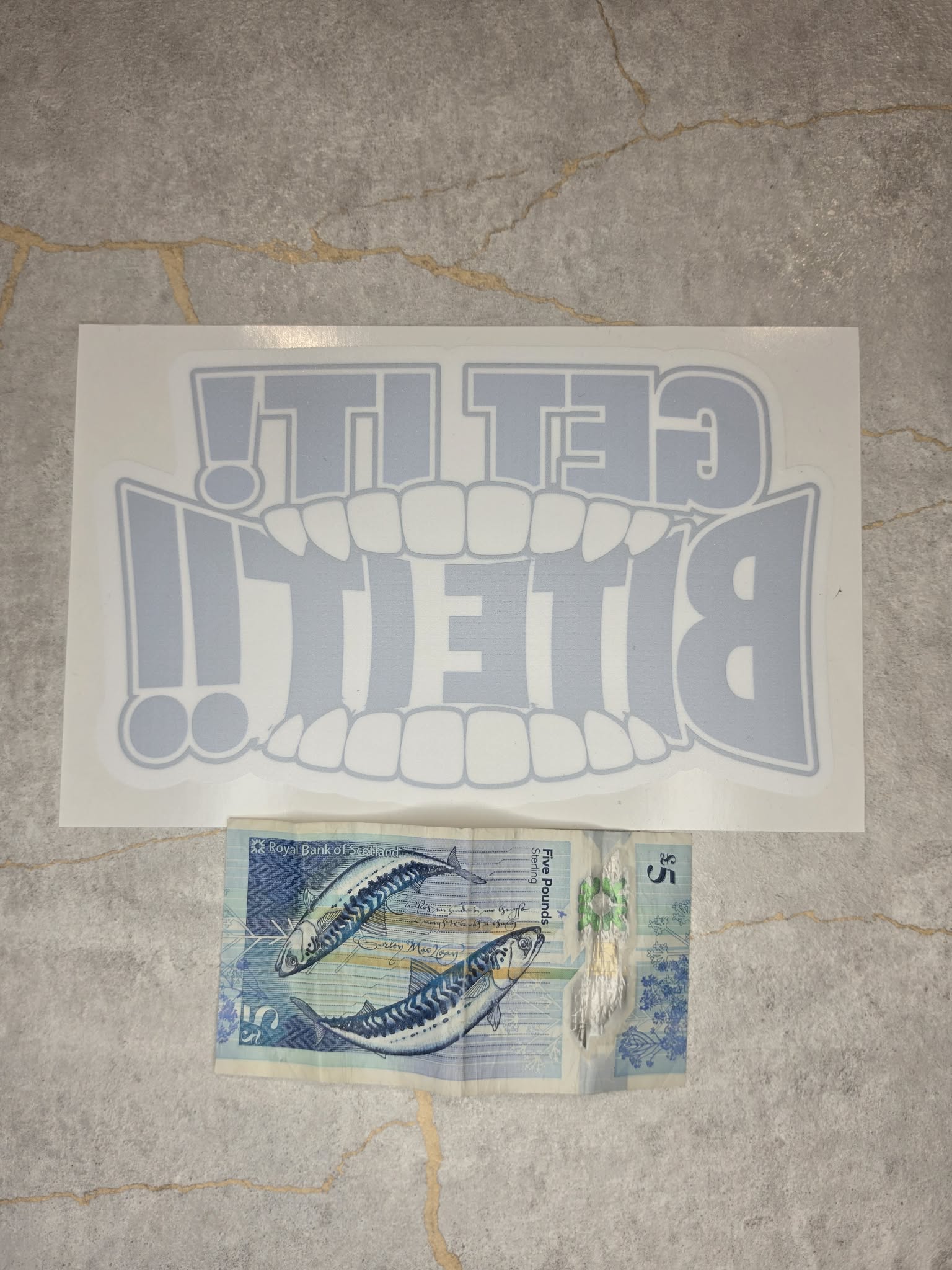 OFFICIAL GO Forth! Window Sticker Bundle | 2 PACK + FREE SHIPPING! 📦