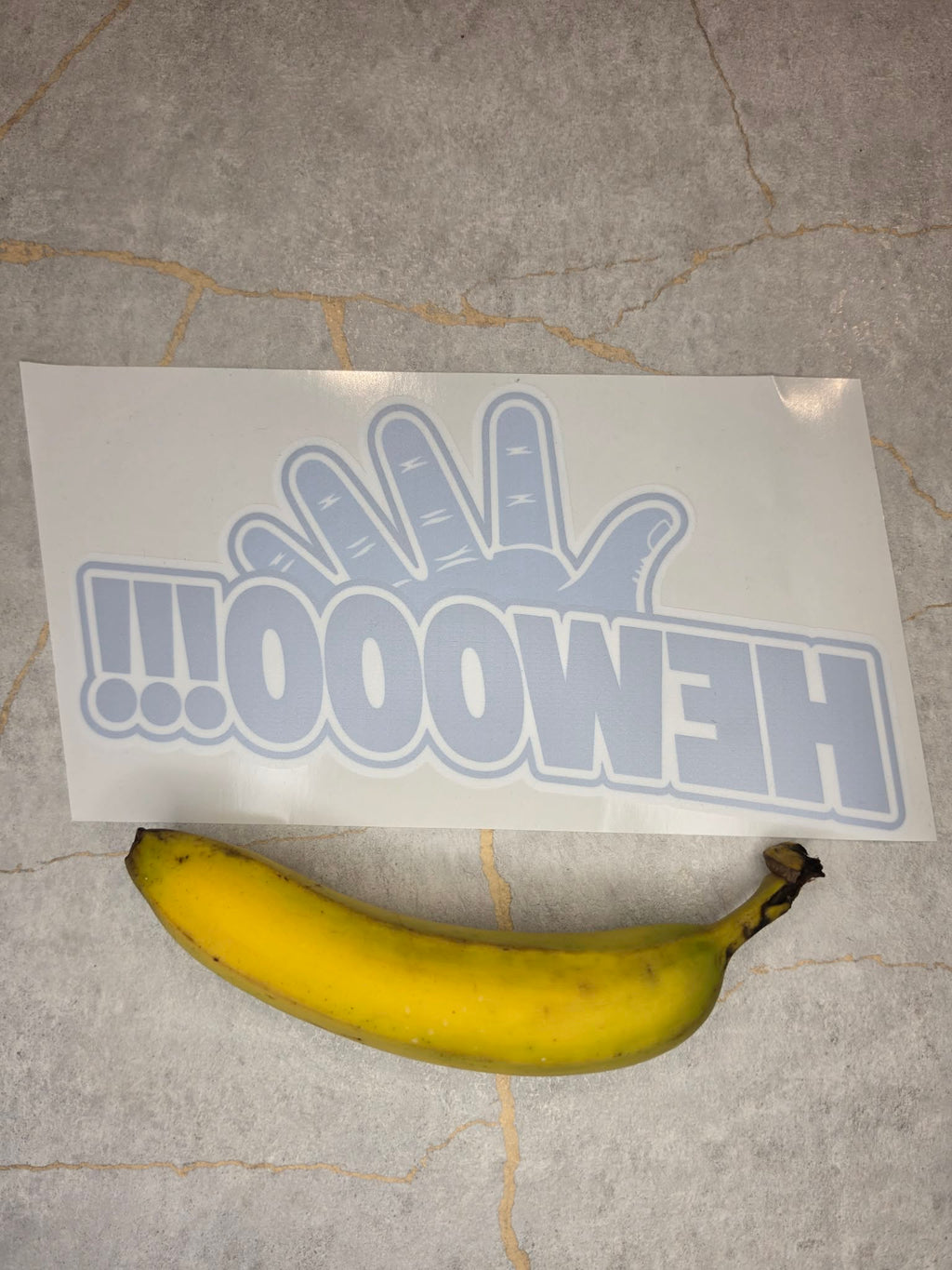 OFFICIAL GO Forth! Window Sticker Bundle | 2 PACK + FREE SHIPPING! 📦