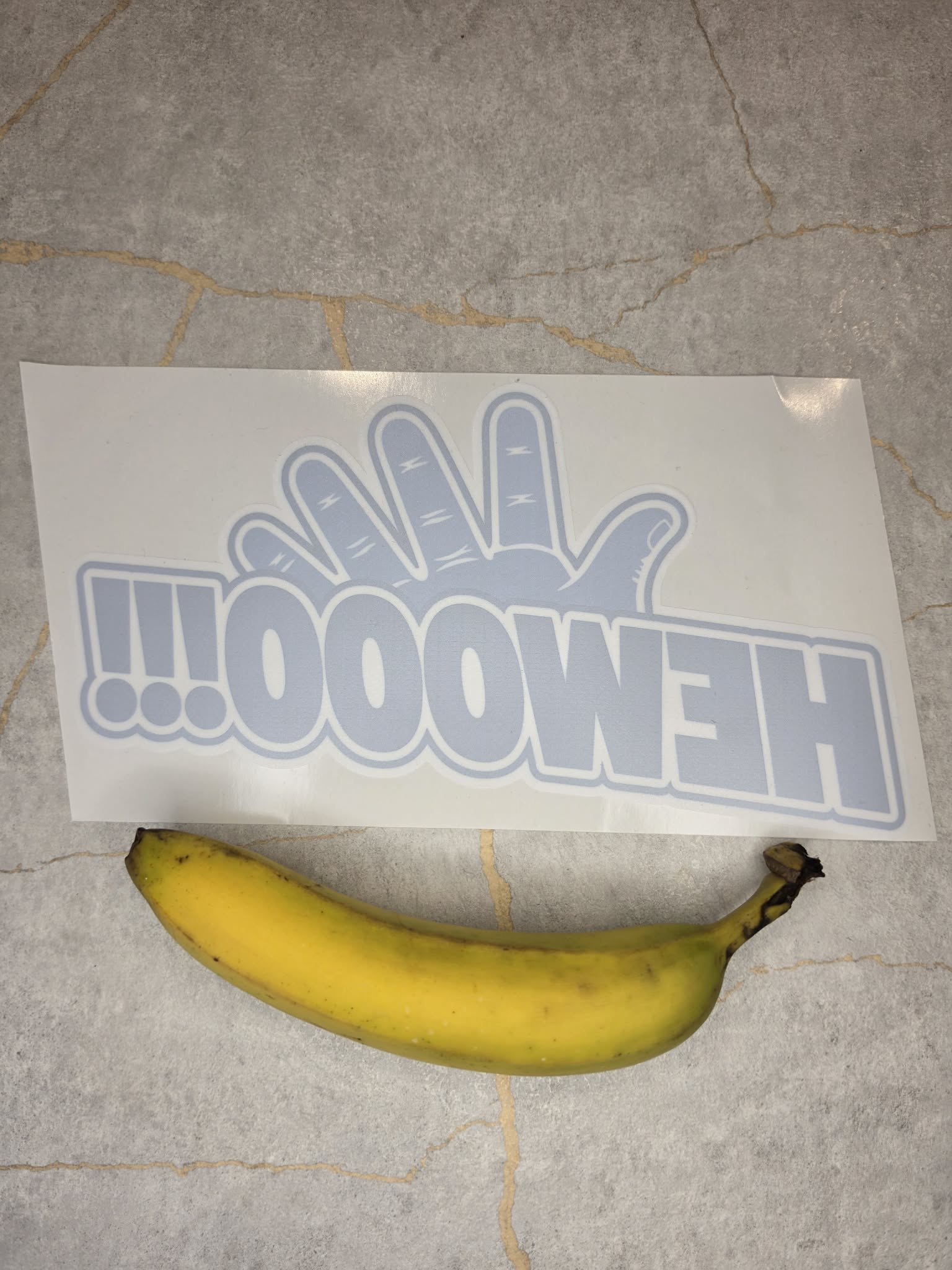OFFICIAL GO Forth! Window Sticker Bundle | 2 PACK + FREE SHIPPING! 📦