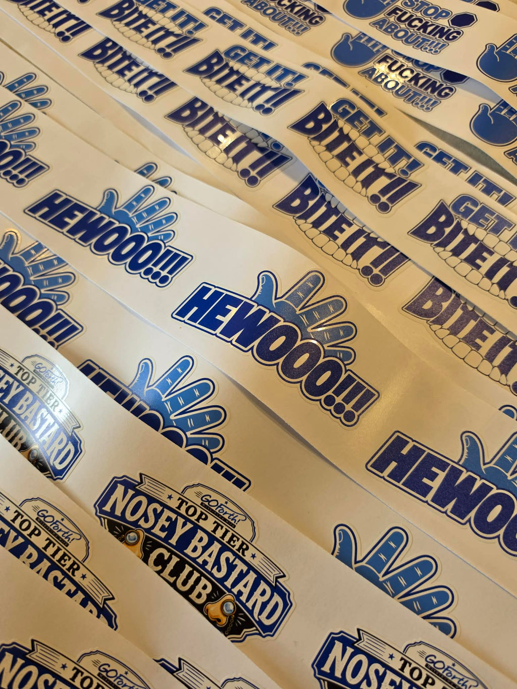 OFFICIAL GO Forth! Sticker Bundle | 4 PACK + FREE SHIPPING! 📦