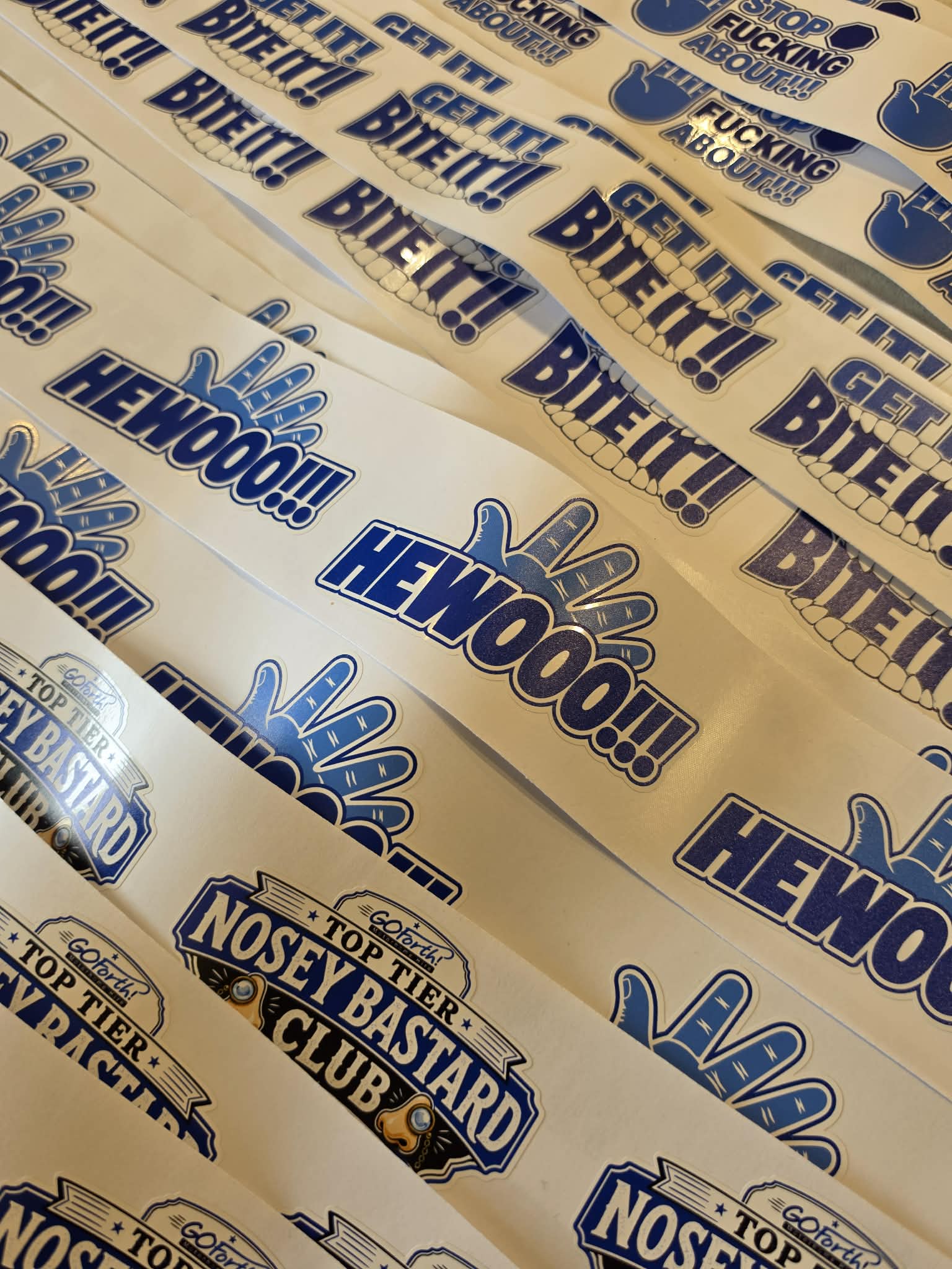 OFFICIAL GO Forth! Sticker Bundle | 4 PACK + FREE SHIPPING! 📦
